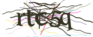 Enter the character string shown in the picture