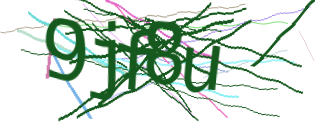 Enter the character string shown in the picture