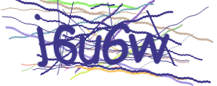 Enter the character string shown in the picture
