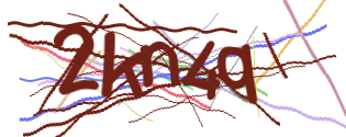 Enter the character string shown in the picture