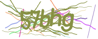 Enter the character string shown in the picture