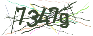 Enter the character string shown in the picture