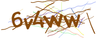 Enter the character string shown in the picture